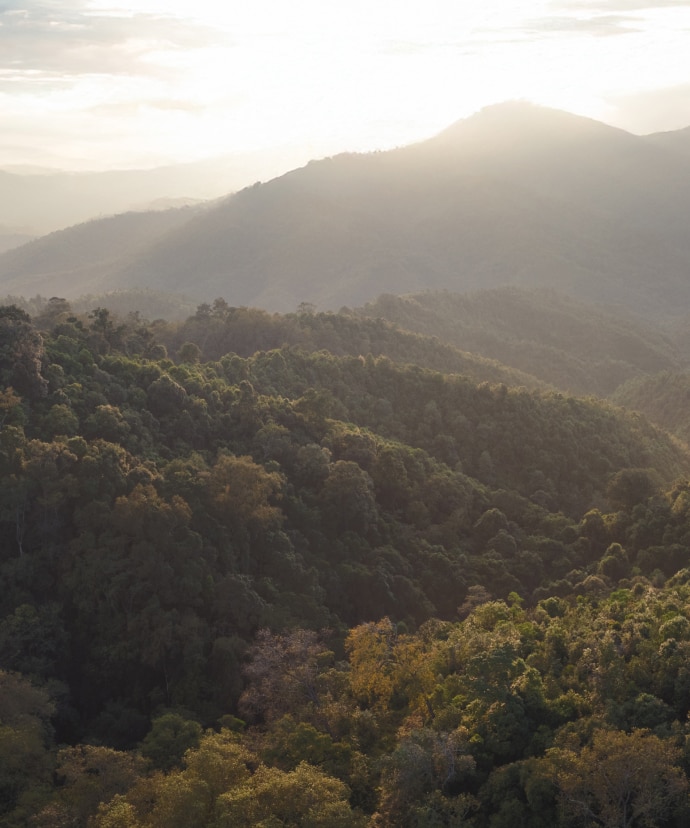 TianZi Natural reserve
