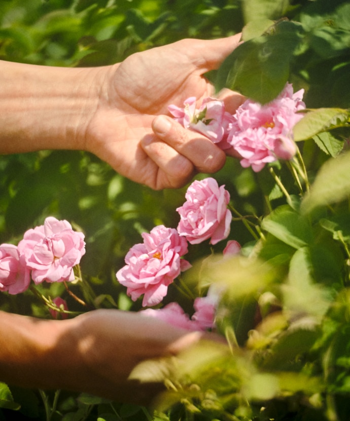 Taking action alongside our sourcing partners