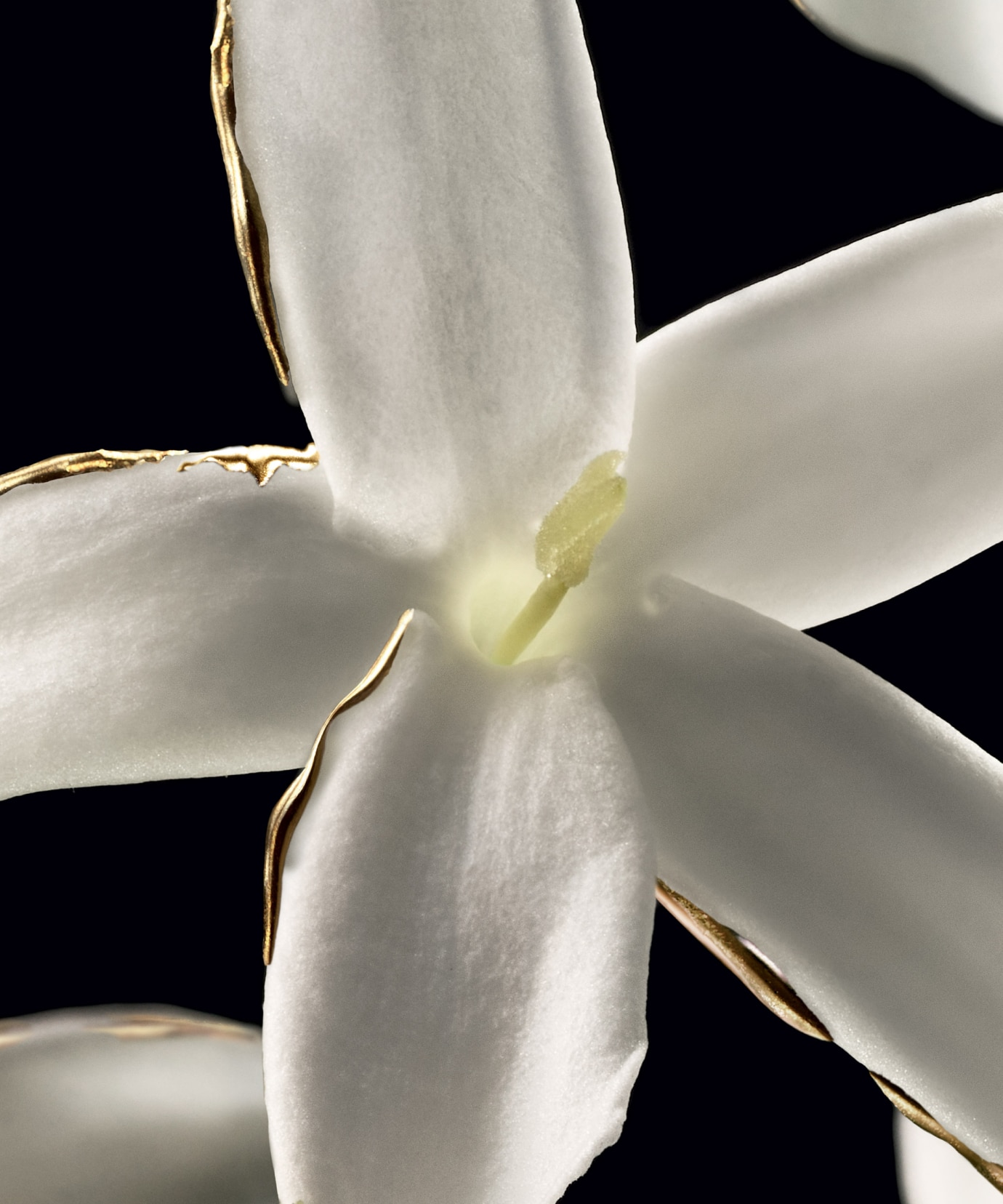 Our natural raw material sourcing