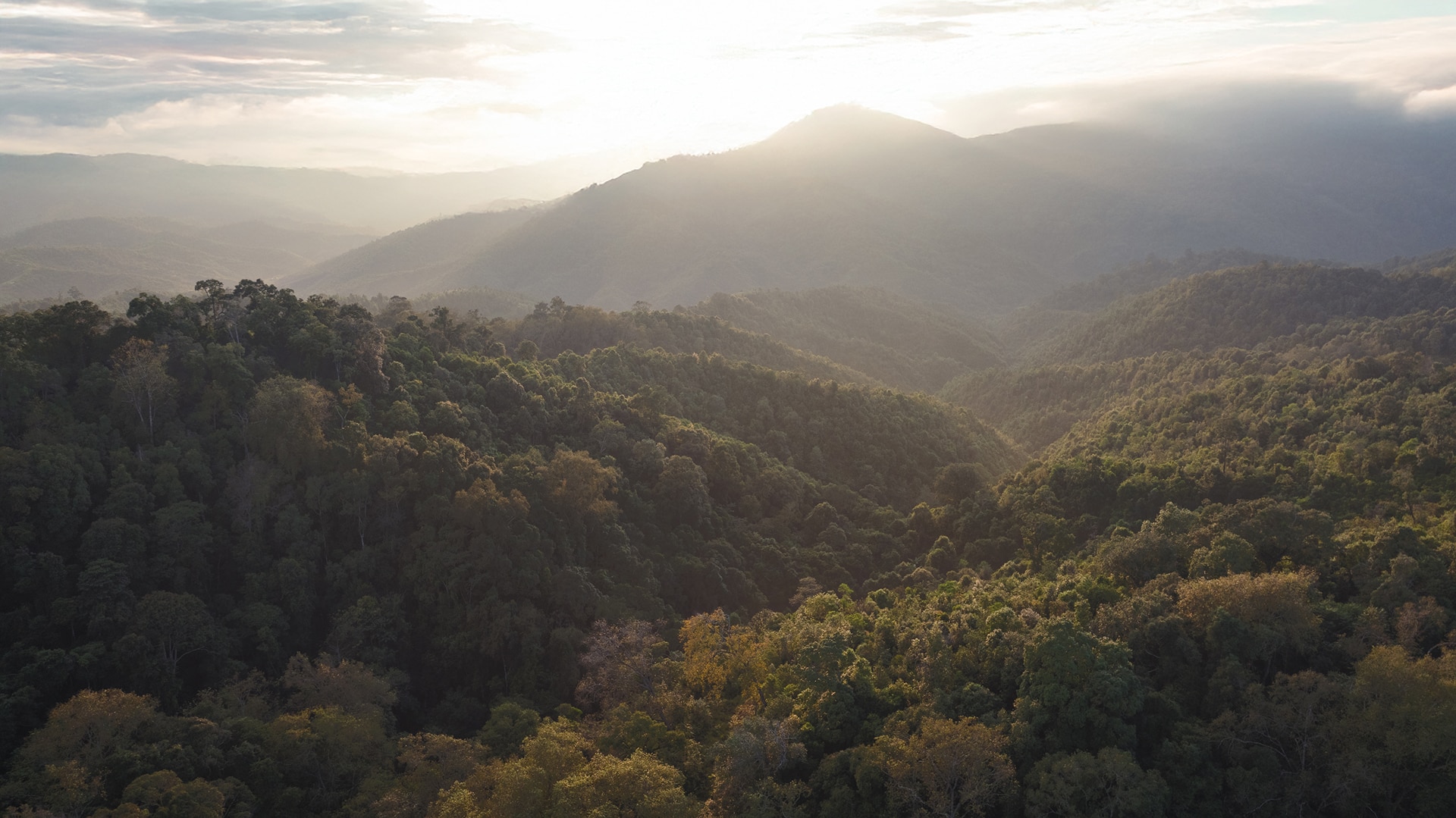TianZi Natural reserve