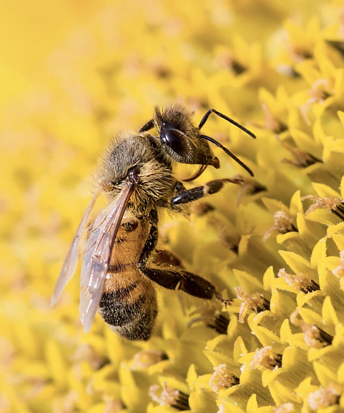 Support for scientific reseach