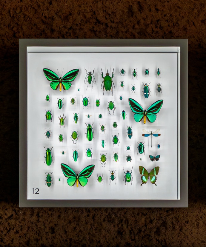 Insectarium de Montréal