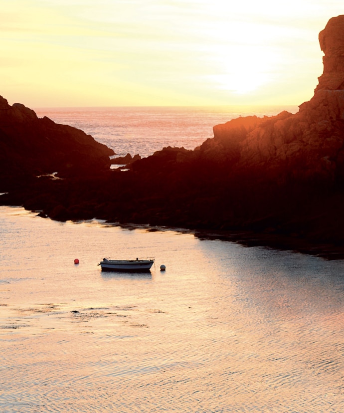 Carbon footprint and SBTi trajectory